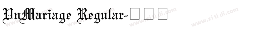 VnMariage Regular字体转换